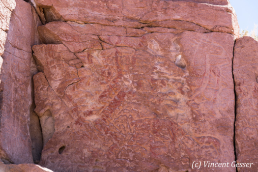 Petroglyph of Chile Atacama Desert 007 _X218637 - Gesser Images and ...